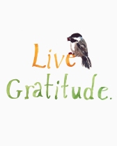 live-gratitude